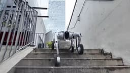 Китайский робот-собака Pudu D5 с «рыбими глазами» и 3D-лидарами показал рекордную скорость подъёма по лестницам